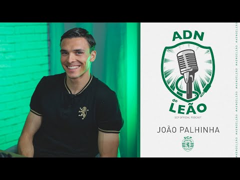 João Palhinha em entrevista ao ADN de Leão